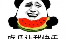 朝阳吃瓜群众一枚,揭秘京城街头巷尾的热辣话题